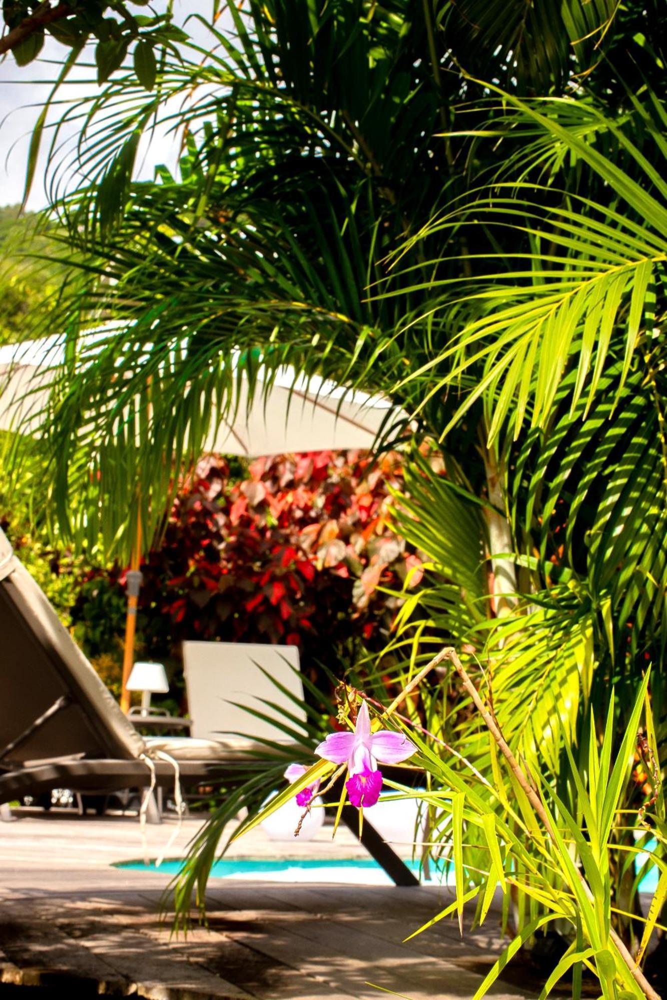 La Villa Baie Du Marin Le Marin Екстер'єр фото